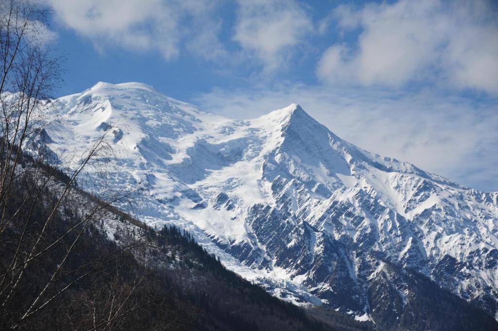 Mont Blanc Spa Chalet BnB Chamonix Extérieur photo
